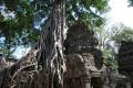 Angkor - Ta Prom (2)