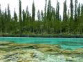 Île des pins - Baie d'oro piscine naturelle (2)