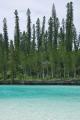 Île des Pins - Baie d'Oro piscine naturelle (5)