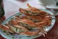 Koh Tansay - Crabes