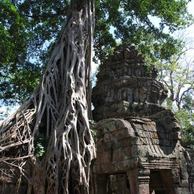 Angkor - Ta Prom (2)