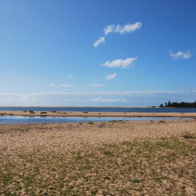 Beach on the road