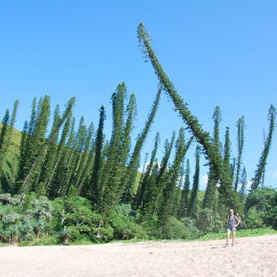 Bourail - Baie des Tortues (2)