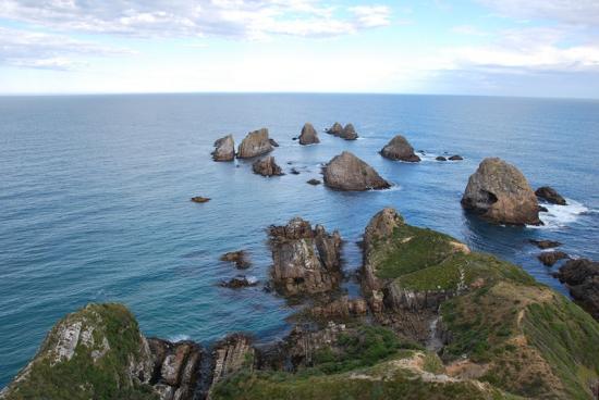 Catlins - Nugget Point (2)
