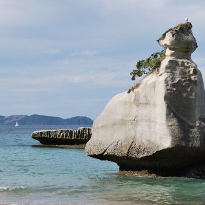 Coromandel - Cathedrale Cove (3)