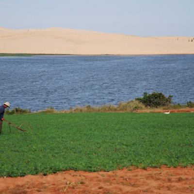 Mui Ne Dunes Blanches