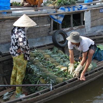 Le Delta du Mékong Marché flottant