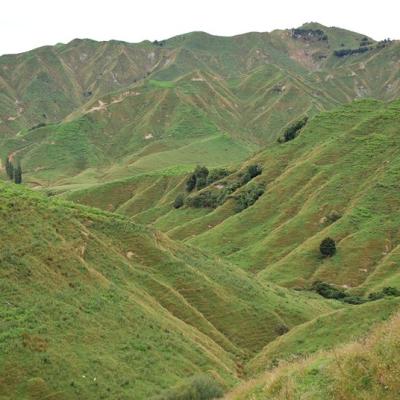 Forgotten Highway SW43