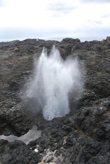 Kiama - Blowhole Point