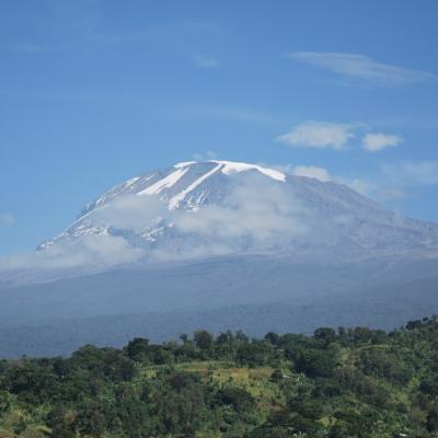 Kilimandjaro - Vue (2)
