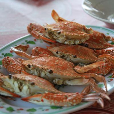 Koh Tansay - Crabes
