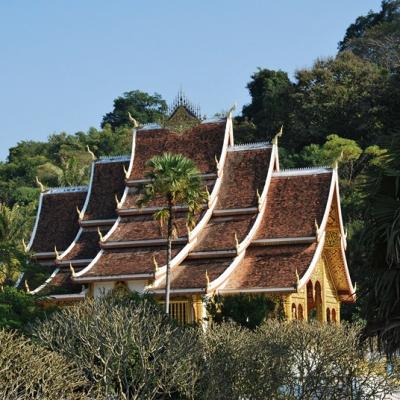 Luang Prabang (6)