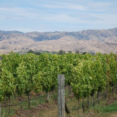 Marlborough Sounds