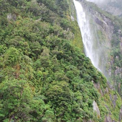 Milford Sound - Fjords (8)
