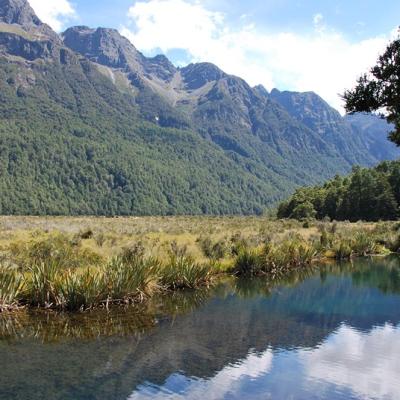 Milford Sound - Mirror Lakes