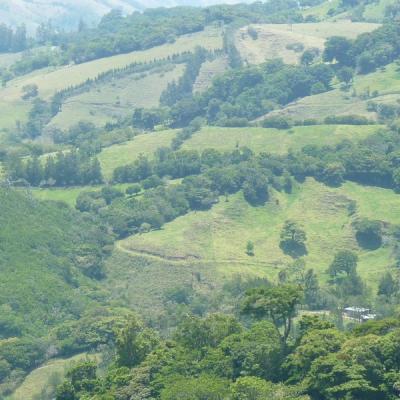 Monteverde (2)