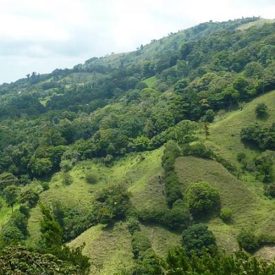 Monteverde