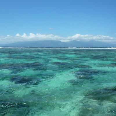 Moorea - Lagoonarium (2)