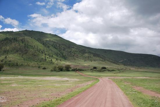 Ngorongoro - Cratère (2)