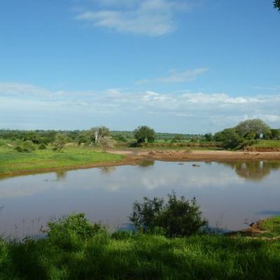 Ngorongoro - Cratère (4)