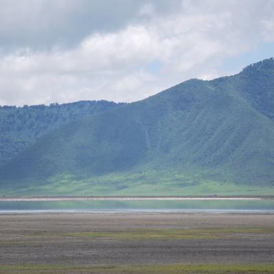 Ngorongoro - Flamands roses