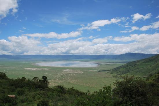 Ngorongoro - Vue cratère