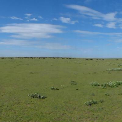 Ngorongoro - Vue