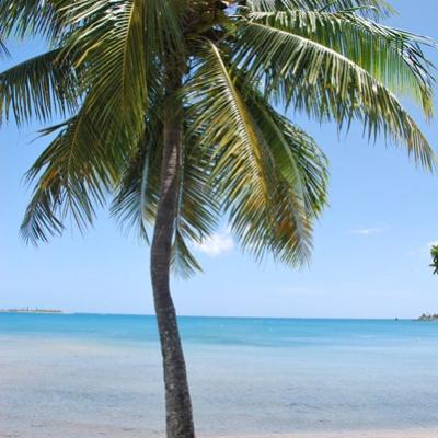 Nouméa - Anse Vata (2)