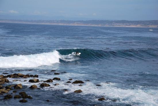 Pacific Grove - Surfeur