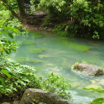 Parc National Tenorio - Rio Celeste (2)