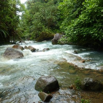 Parc National Tenorio - Rio Celeste