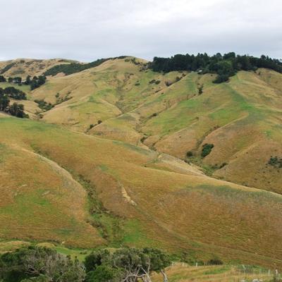 Péninsule Otago