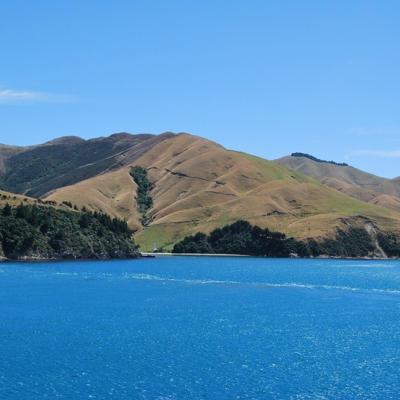 Picton