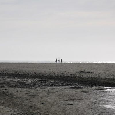 Plage de Karekare (2)