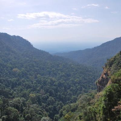 Plateau de Bolaven (2)
