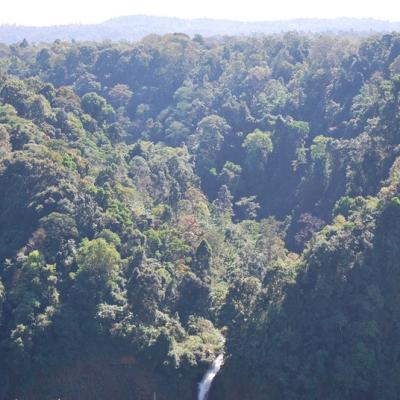 Plateau de Bolaven