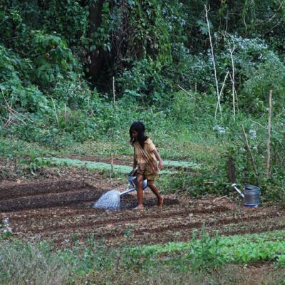 Potager Tat Lo