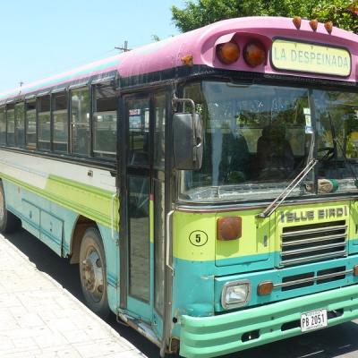 Puntarenas - Bus local