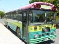 Puntarenas - Bus local