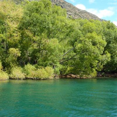 Queenstown - Kawarau River
