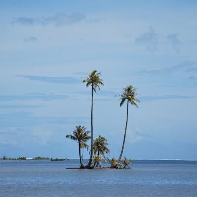 Raiatea - Ilot