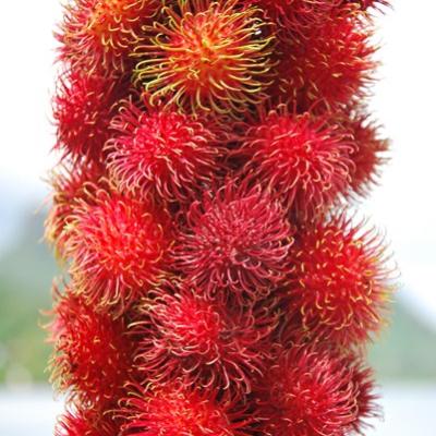 Rambutans