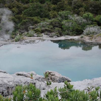 Rotorua - Pohutu Geyser (3)