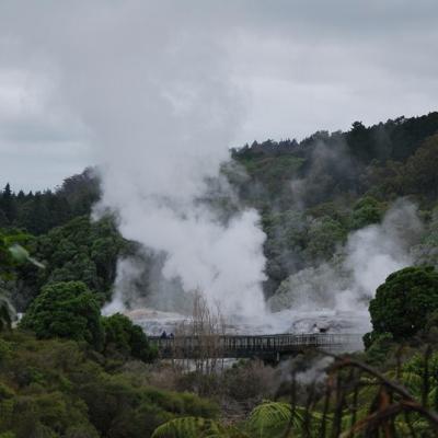 Rotorua - Pohutu Geyser