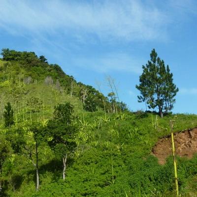 Route à horaires - Point de vue