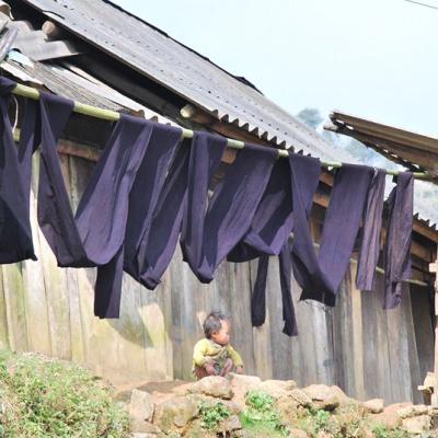 Sapa (2)