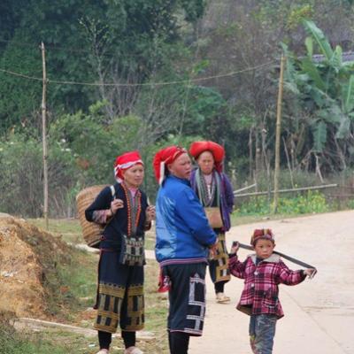 Sapa (3)