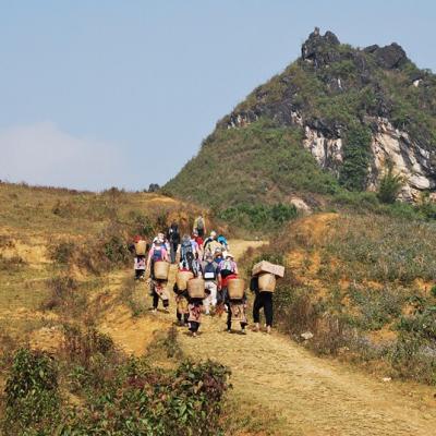 Sapa (4)