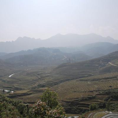 Sapa (7)