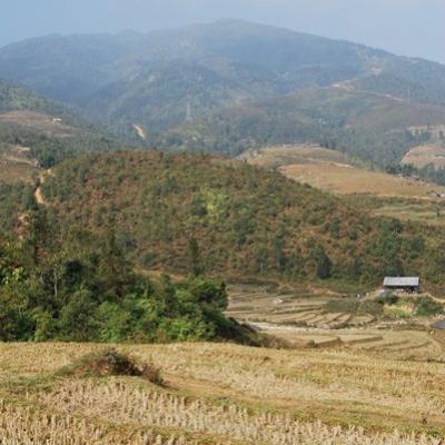Sapa
